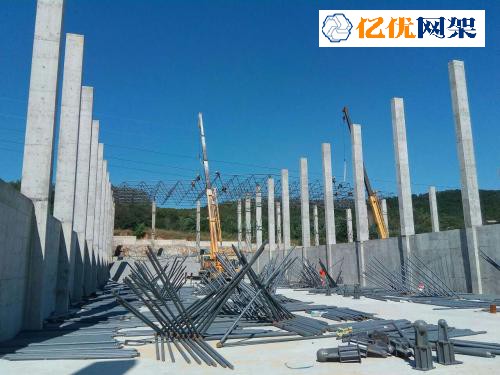 永安料棚网架设计